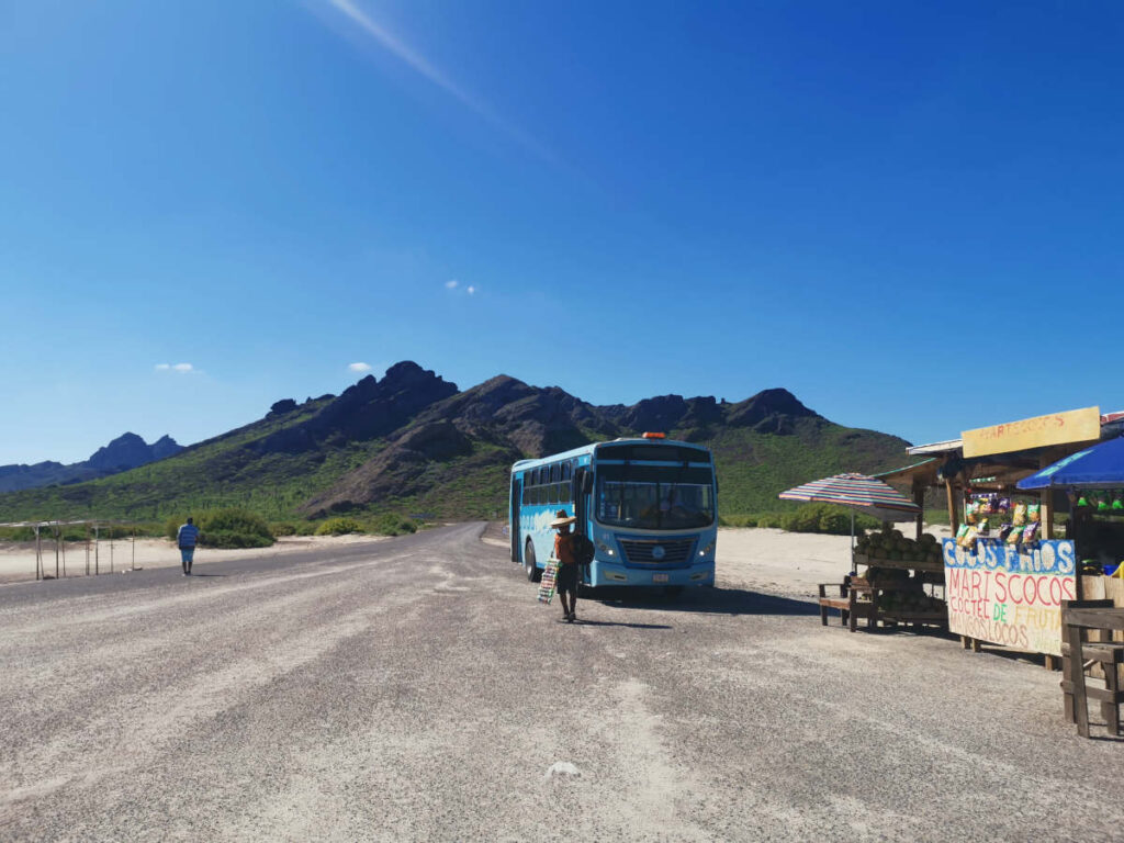 The Playa Tecolote bus next to a stand selling coconuts
