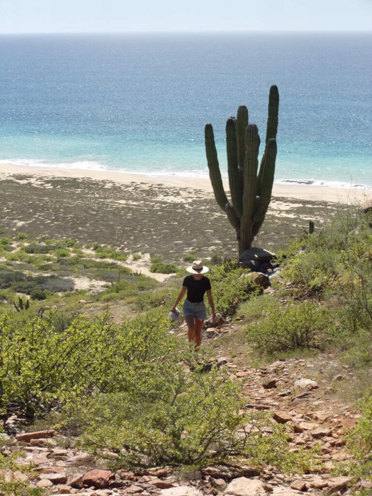 Hiling in todos santos mexico