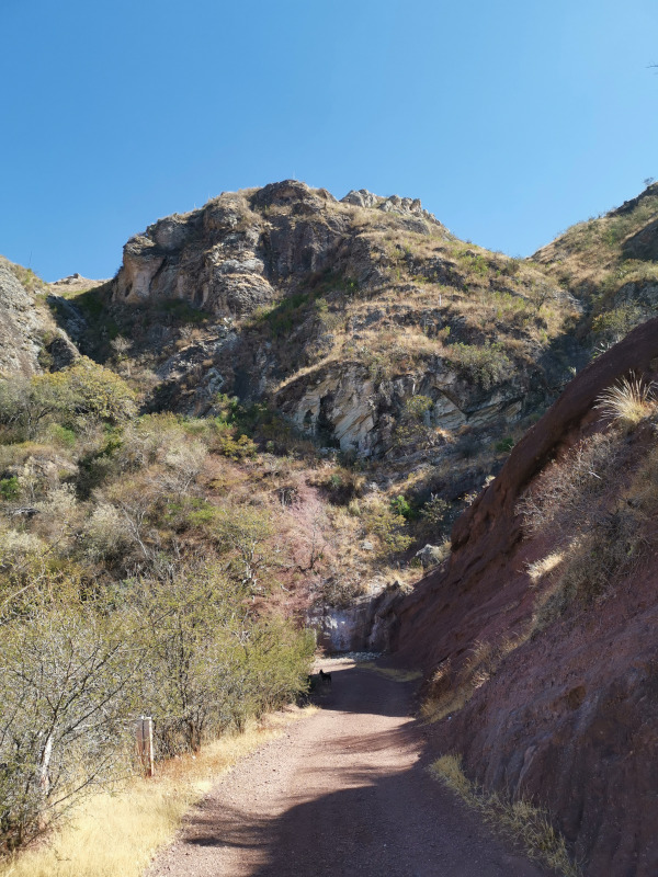 Wide road snaking along the hill of La Bufa