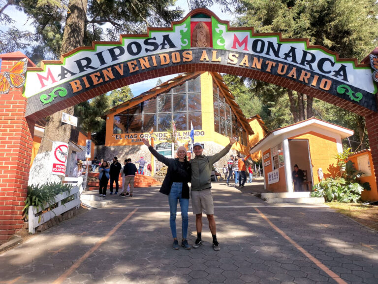 Visiting El Rosario Monarch Butterfly Sanctuary