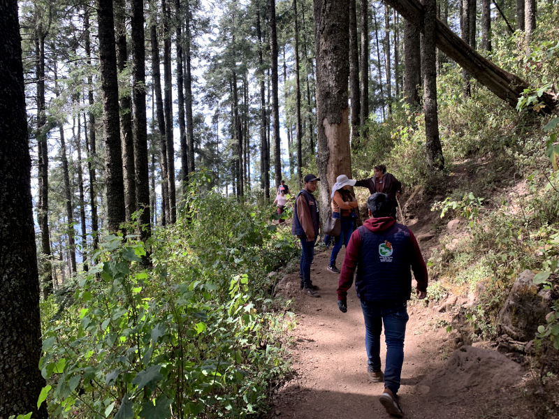 Tour guide leading the way through the forest with people standing in front of him