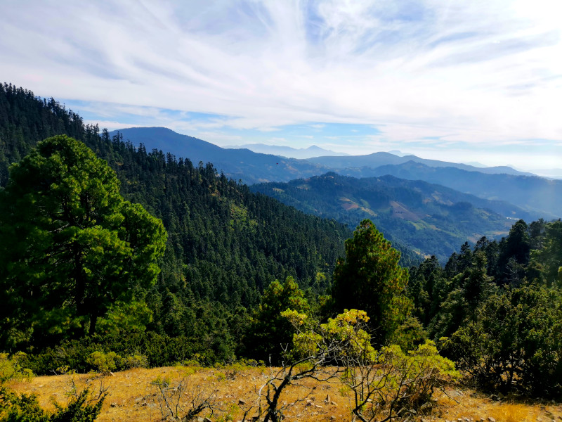 The view of Sierra Chincua Butterfly Sanctuary