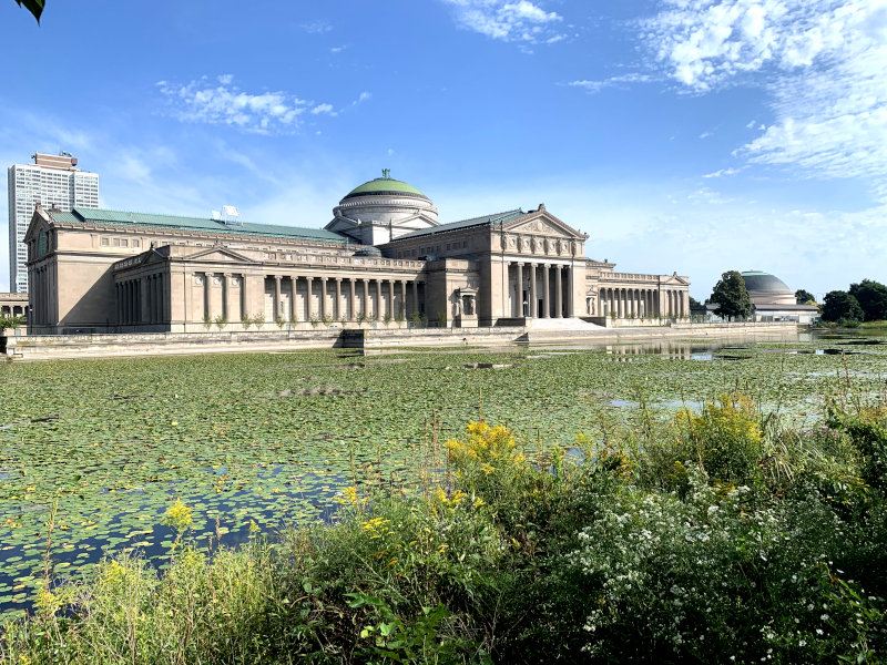 Lilly Pond at the back of the Museum of Science and Industry