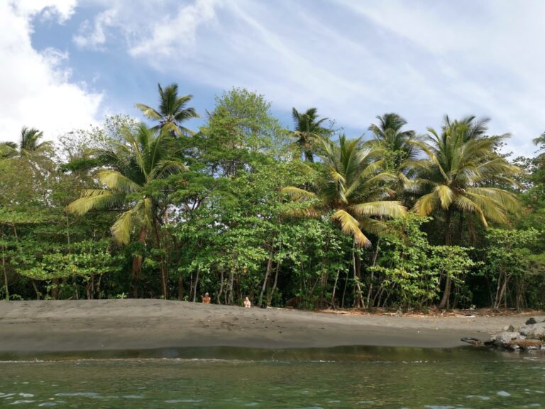 Black Bay Beach Grenada is a beautiful black sand beach