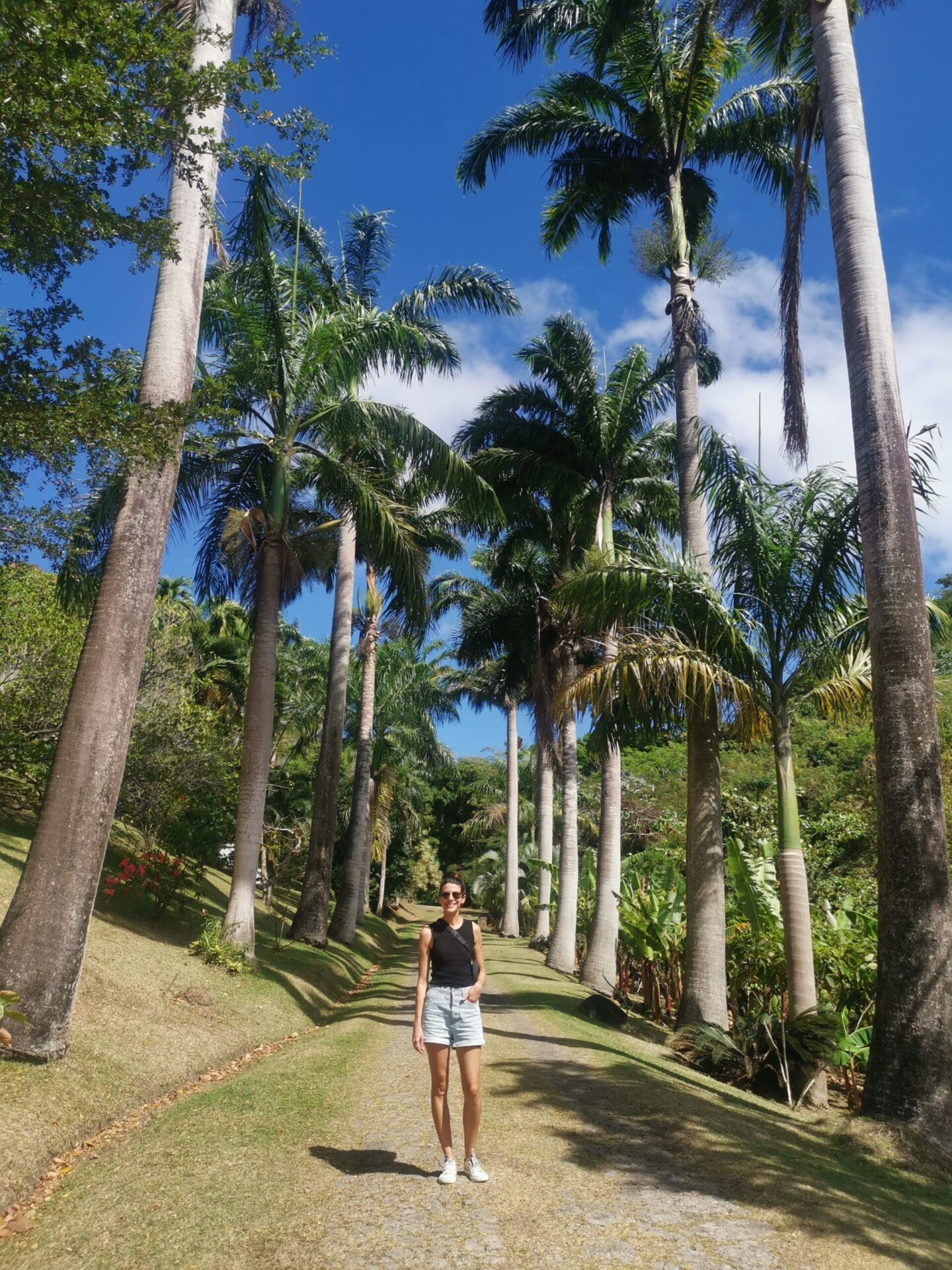 A woman in denim shirts and a black singlet standing between a row a big palm trees