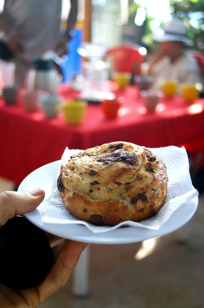 A delicous chocolate pastry on a plate