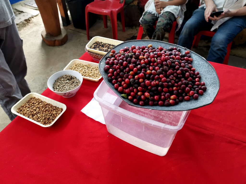 Bowls with coffee beans on a table