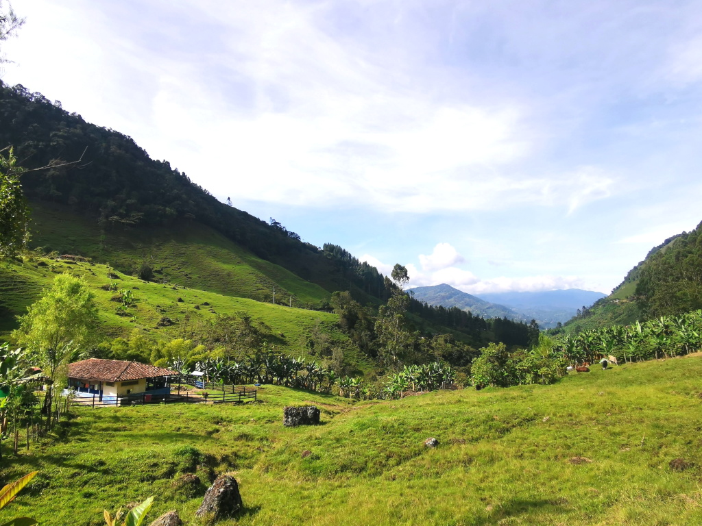 Green farmland around Jardin Colombia