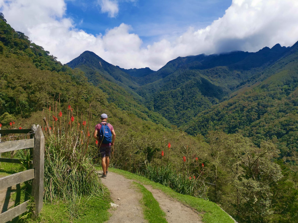 A man walking along a trail with orange flowers on either side of the path