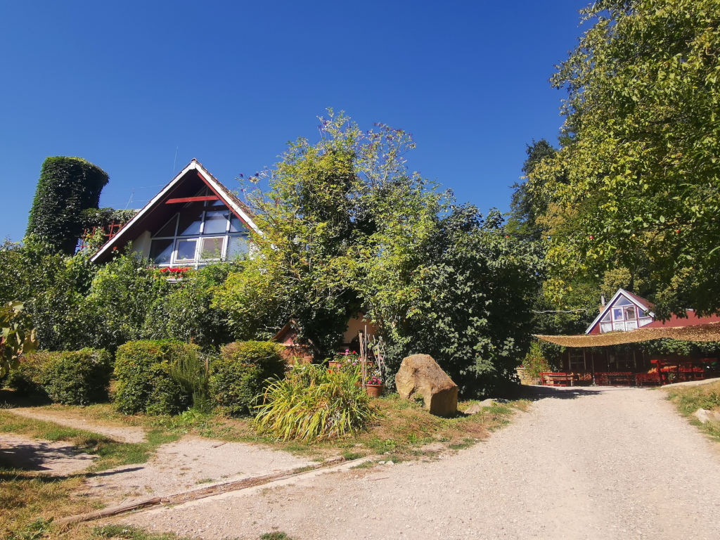 A traditional heuriger located outside Vienna