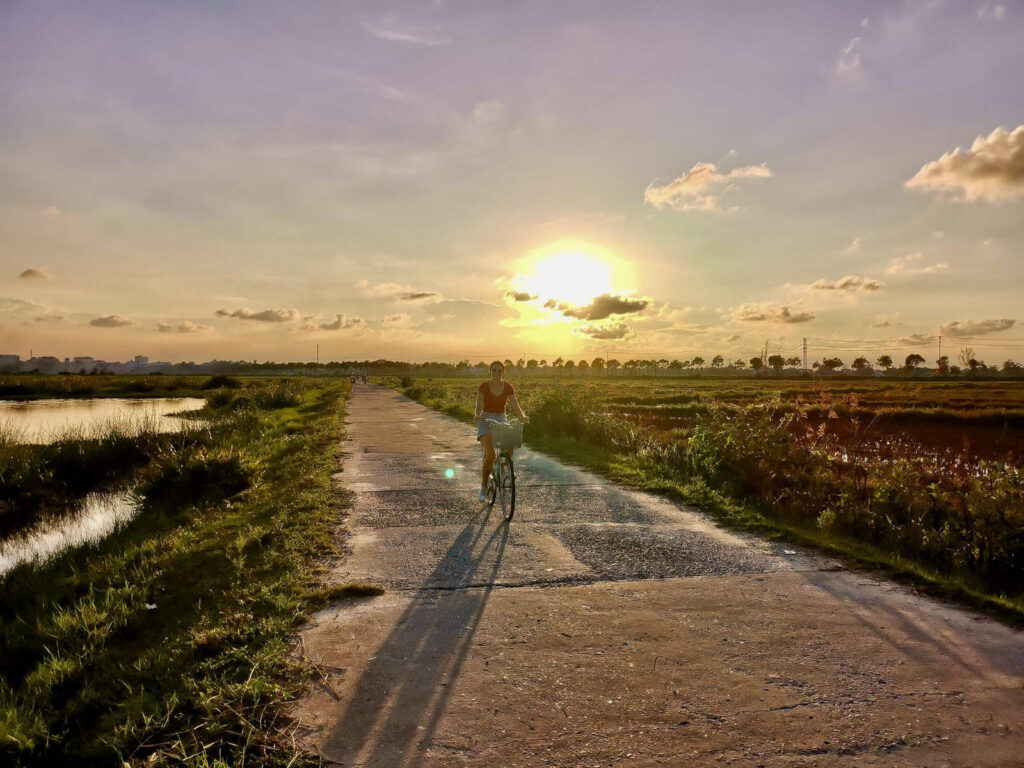 A lady in a red t shirt and denim shorts riding a bike along a concrete road in between rice field near hoi an vietnam was the sun sets low in the sky behind her