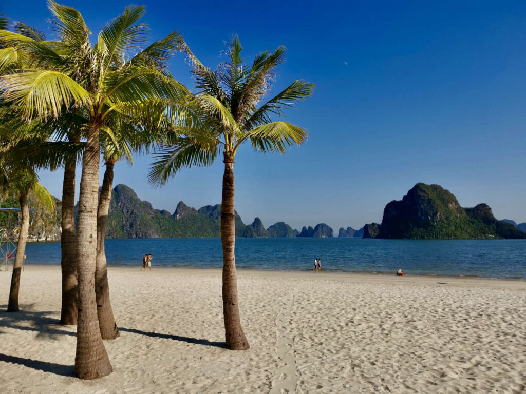 A scenic view of a sandy beach in Ha Long Bay, Vietnam, with palm trees in the foreground and towering limestone karsts emerging from the turquoise water under a clear blue sky. A few people are seen walking along the shore.
