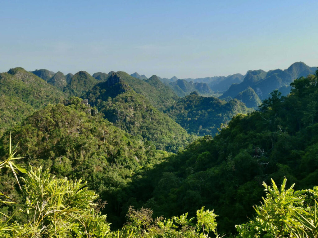 A breathtaking panoramic view of a lush, dense jungle landscape with countless karst limestone mountains covered in thick green vegetation. The mountains stretch into the distance under a clear, bright blue sky. In the foreground, vibrant green leaves and foliage frame the bottom of the image, adding to the sense of an immersive, natural environment.