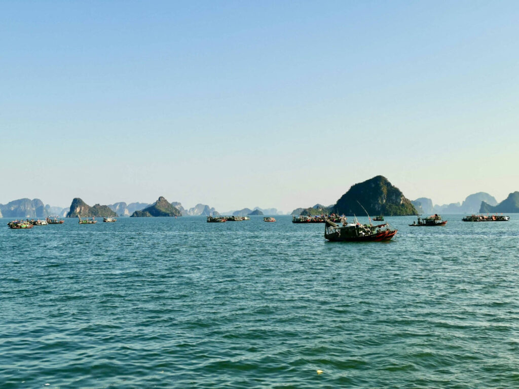 A wide shot of the expansive blue-green waters of Ha Long Bay under a clear sky. Numerous traditional Vietnamese fishing boats, some with colorful details, are scattered across the water. In the background, many characteristic limestone karsts and islands dot the horizon.