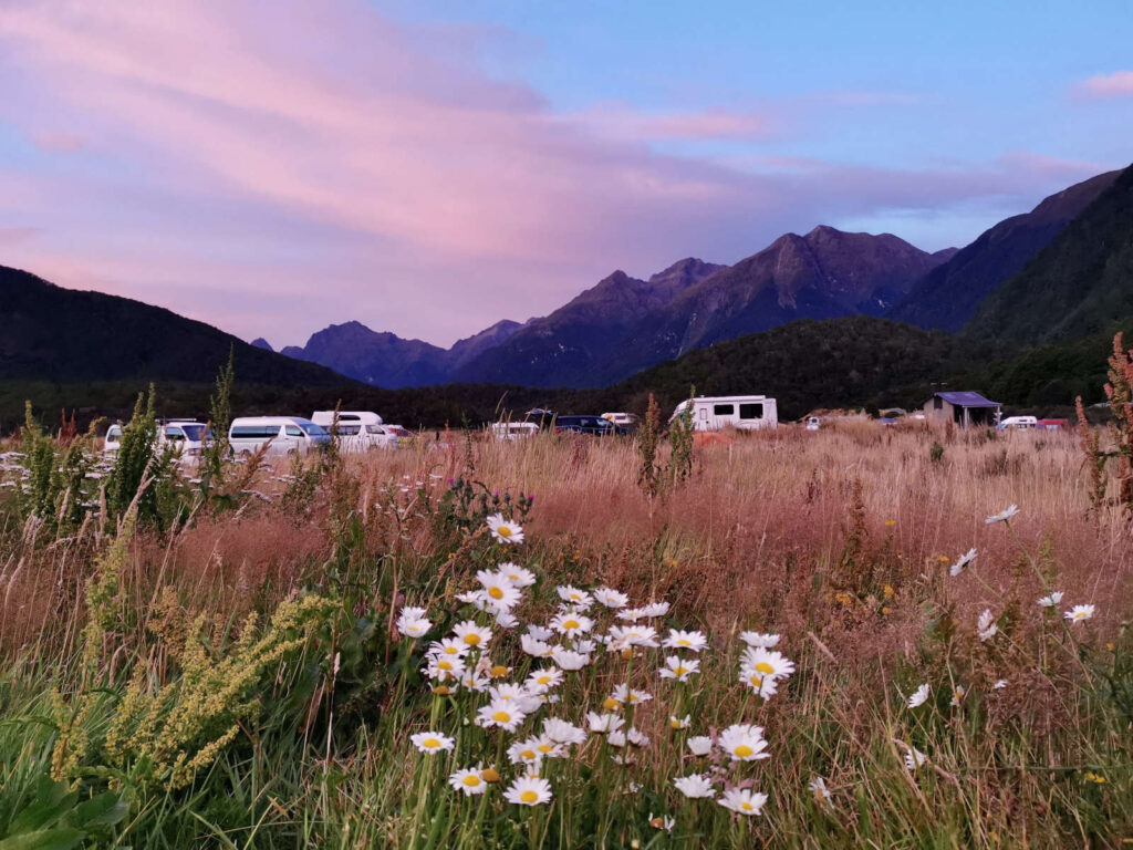 Cascade Creek campsite at sunset, with a field of white daisies in the foreground and a line of mountains and parked campervans in the background.