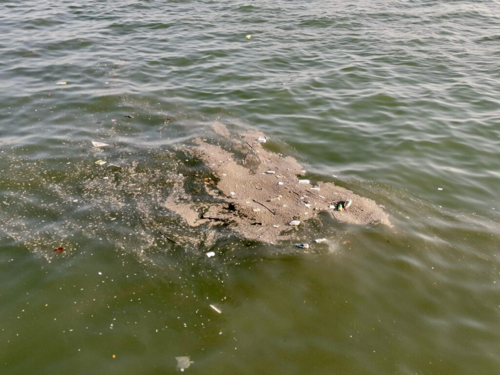 A close-up shot of a large, floating patch of garbage and debris in the murky green waters of what appears to be a bay. The patch consists of various plastic items, bottles, and other trash mixed with natural debris, highlighting significant water pollution. The water has small ripples and reflects the overcast sky, with more scattered pieces of litter visible in the surrounding area.