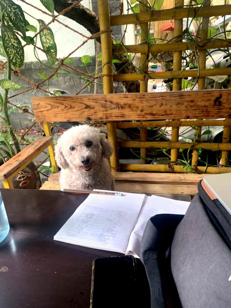 Boy the poodle, our host family’s friendly dog in the Hoi An countryside, next to a notebook and laptop set up for a digital nomad.