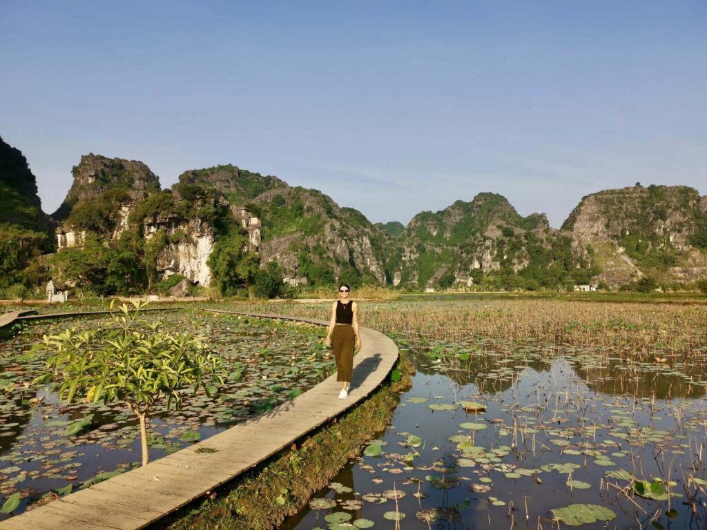 A traveler walking along a wooden path through a blooming lotus field at the base of Mua Cave mountain in Ninh Binh.