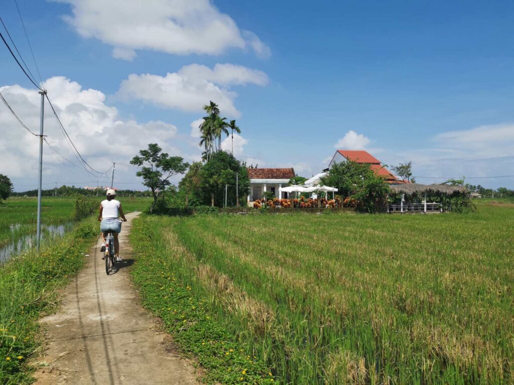 View from the rice paddies near NGHE Rice Paddy Cafe in Cam Thanh, Hoi An, highlighting the tranquil setting and cycling activities for guests staying nearby.