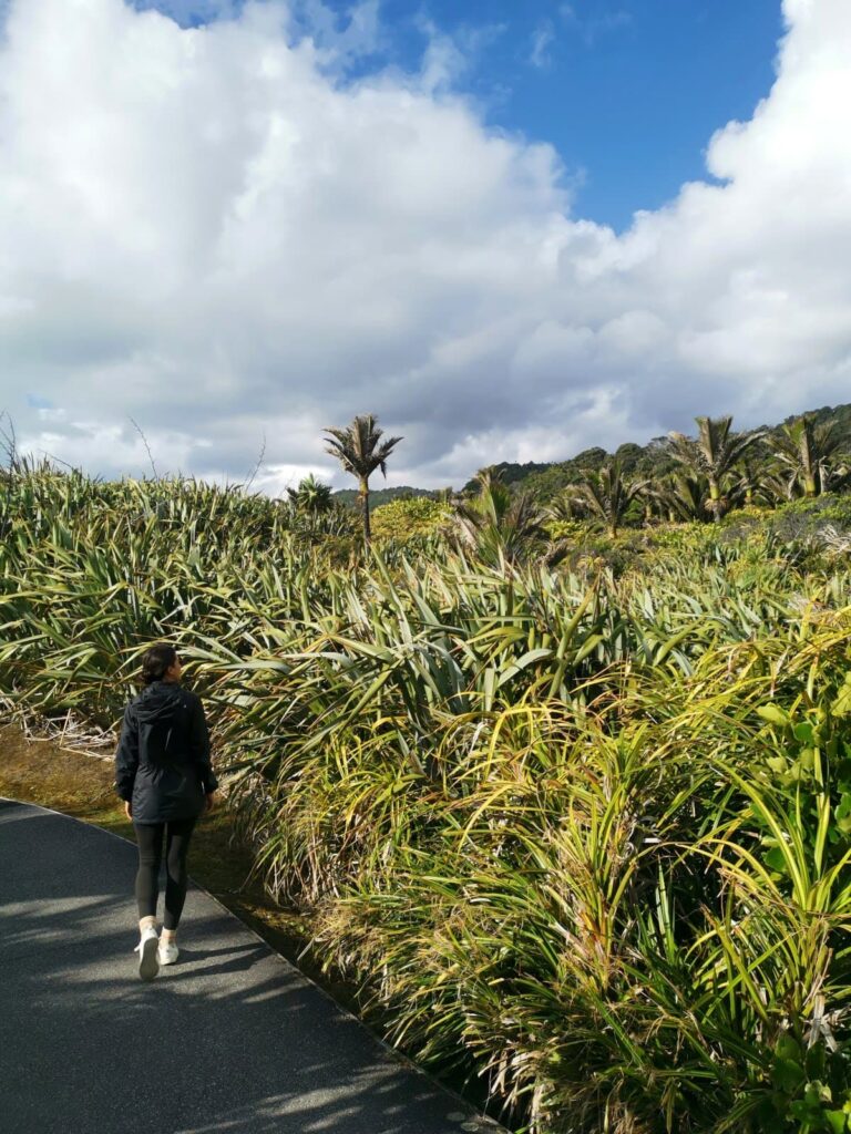 Katharina walking along a paved coastal path surrounded by dense flax plants and Nikau palms under a bright, cloudy sky at Punakaiki.