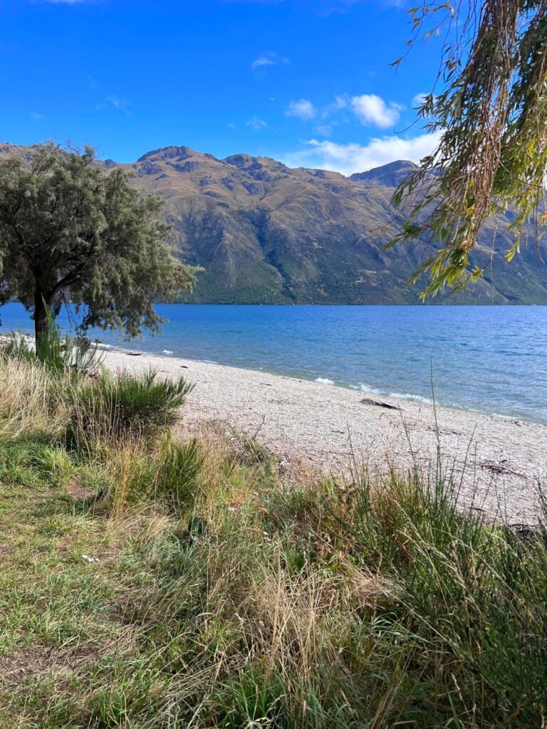 A pebble beach at Kingston Lake Camp along the deep blue water of Lake Wakatipu with large mountains in the background under a bright blue sky.
