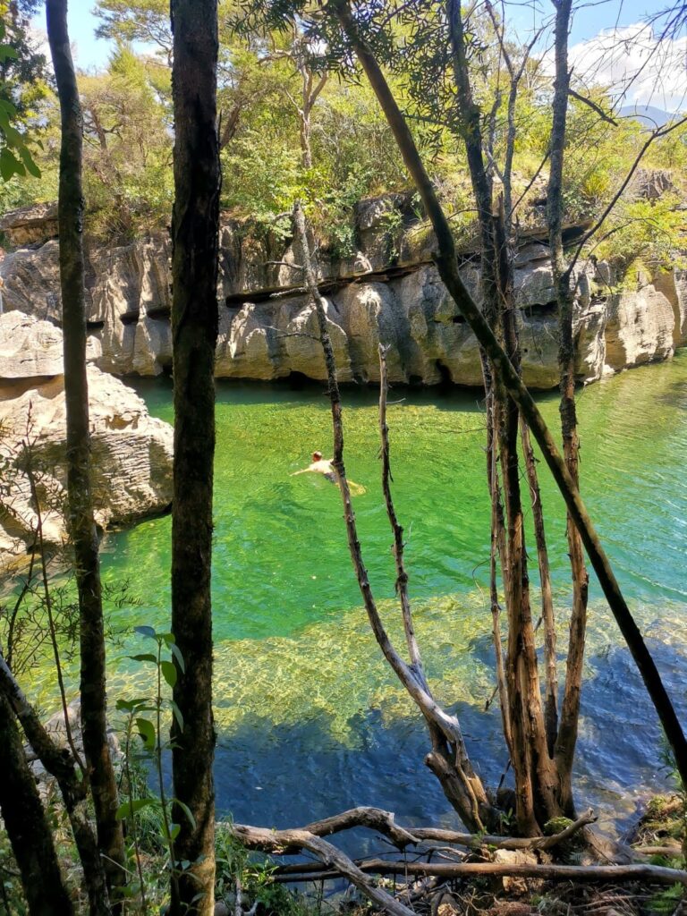 Allan swimming in the clear, emerald-green waters of a natural swimming hole at Paynes Ford Scenic Reserve, surrounded by unique limestone rock formations and native forest.