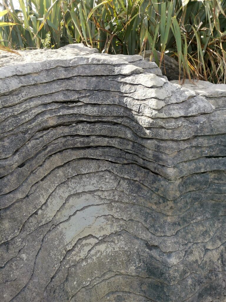 A extreme close-up of the "pancake" layering in the limestone rock formations at Punakaiki, showing distinct horizontal ridges and weathering.
