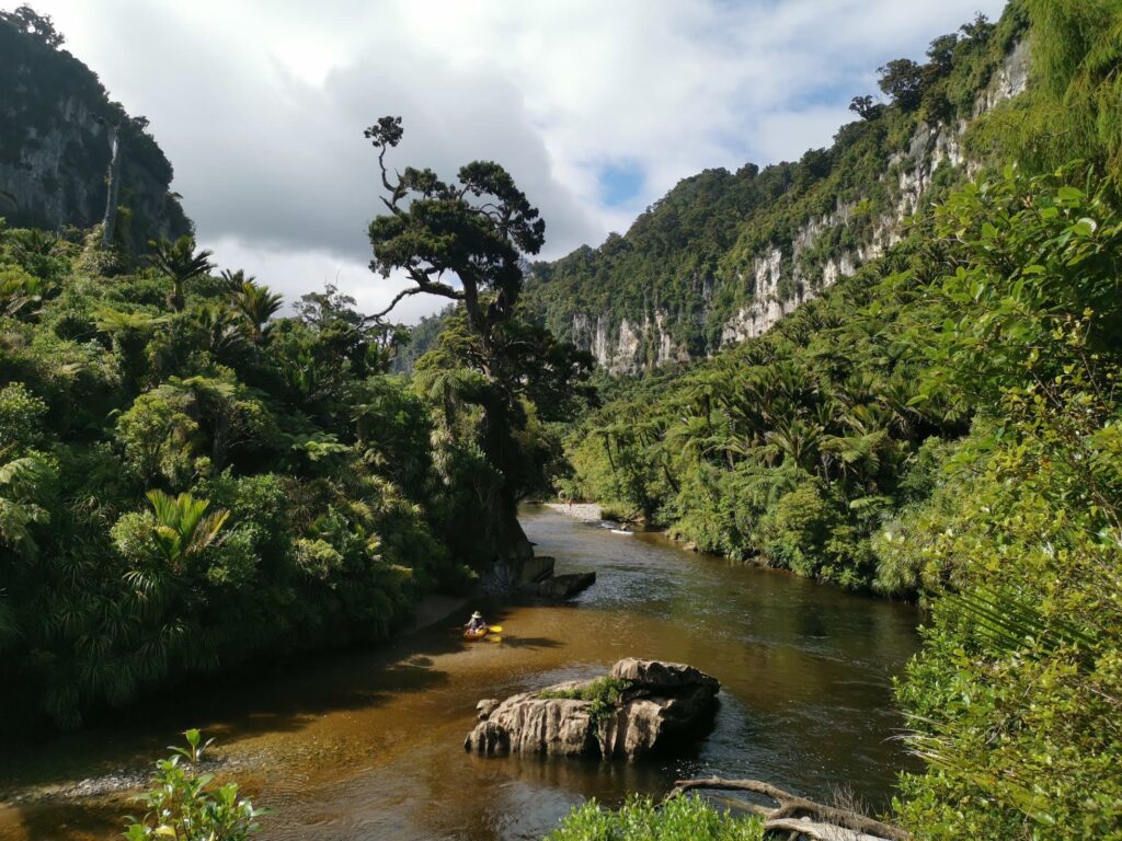 A view from above of a small orange kayak on the brown water of the Pororari River, which is flanked by high limestone cliffs and a dense forest of Nikau palms and native trees.