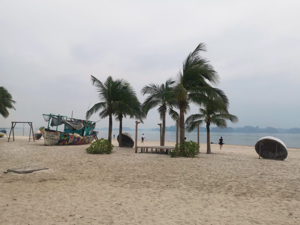 Cloudy weather over a quiet beach with palm trees in Ha Long Bay Vietnam