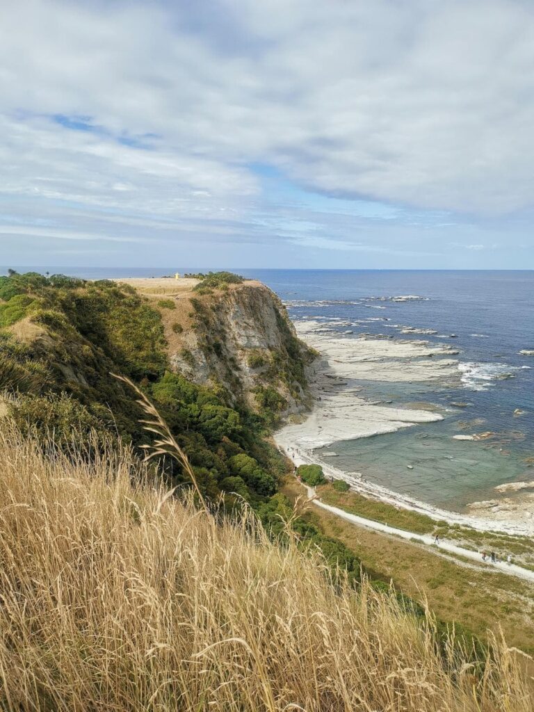 A view from the Kaikoura Peninsula Walkway looking out over dramatic white limestone cliffs and rock platforms meeting the blue ocean under a soft, cloudy sky.