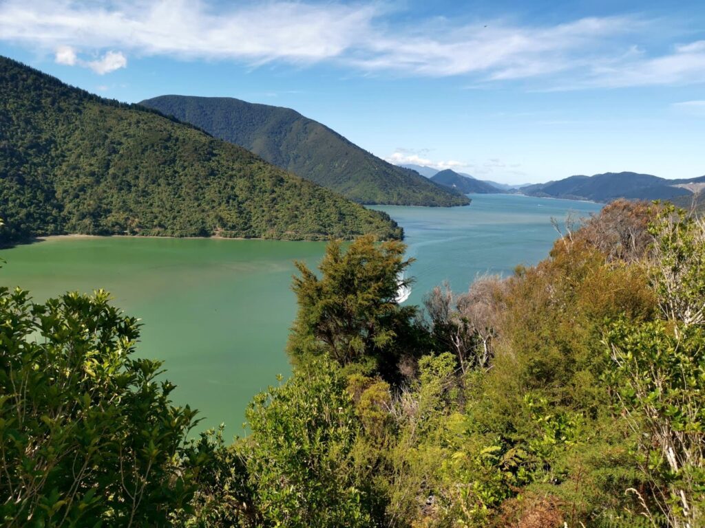 A wide view from an elevated position overlooking the green and blue waters of Queen Charlotte Sound, with a boat leaving a white wake in the distance and steep, forested hills rising from the shoreline.